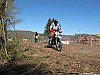 IMG_2554