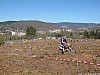IMG_2559