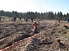 IMG_2573