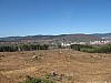 IMG_2591