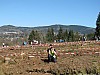 IMG_2629