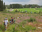 Neste Oil Rally Finland 2014