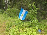 Neste Oil Rally Finland 2014